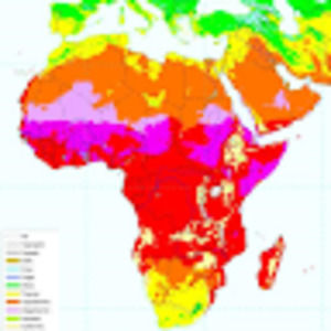 Meet your Posher, Kenya